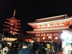 元旦の「浅草寺」