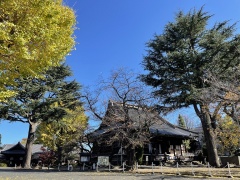 11月の「寛永寺」